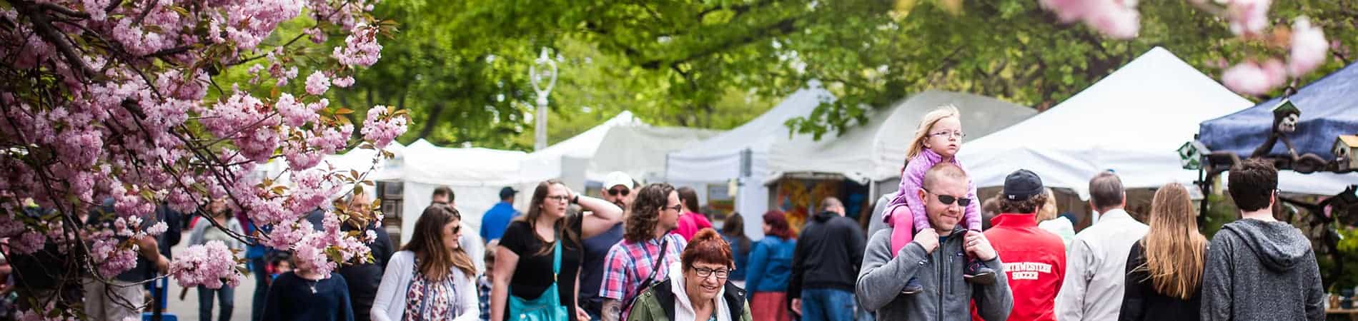 Art In The Park Application Rochester Events 2017